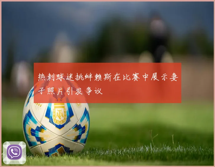 热刺球迷挑衅赖斯在比赛中展示妻子照片引发争议