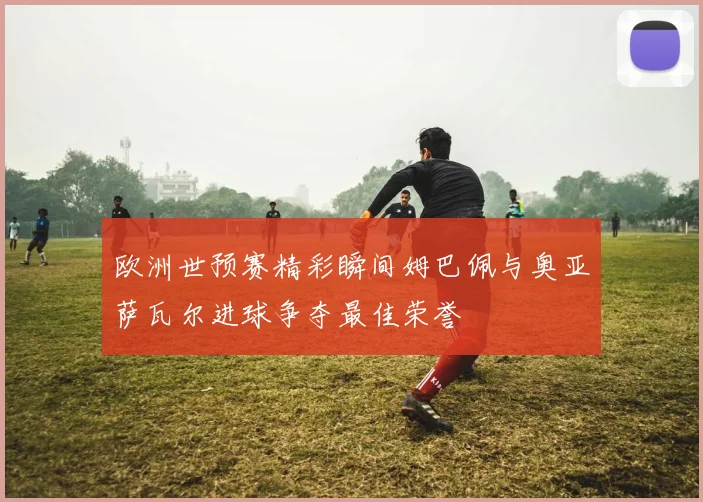 欧洲世预赛精彩瞬间姆巴佩与奥亚萨瓦尔进球争夺最佳荣誉